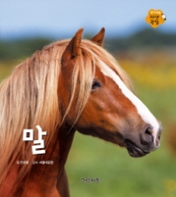 말 (알기 쉬운 자연관찰 13)